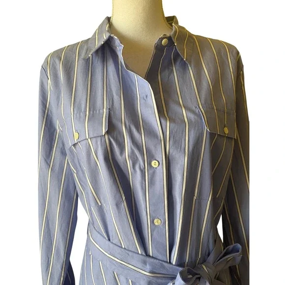 Talbots Striped Cotton Poplin Shirt Dress NWT, 14, preppy, classic, polished - Picture 4 of 7